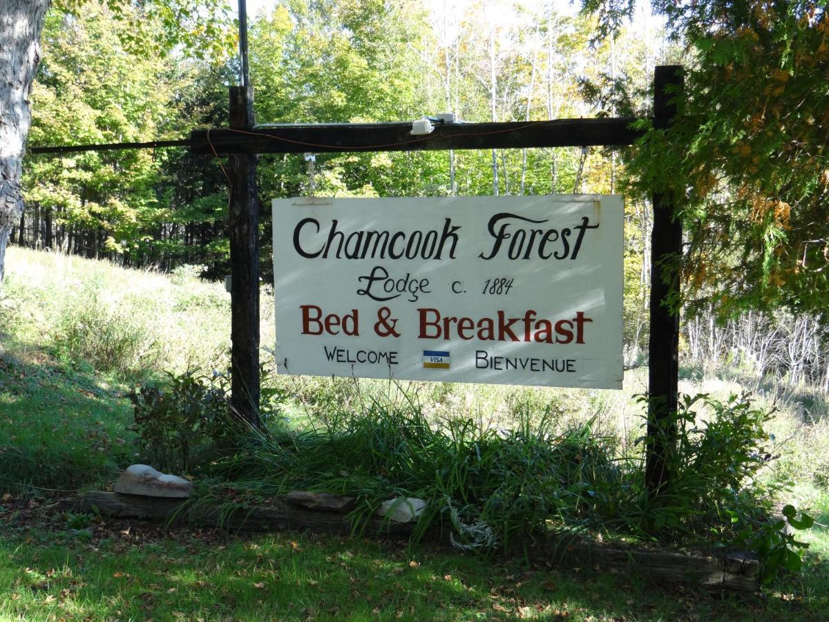 Chamcook Forest Lodge Bed & Breakfast St. Andrews By The Sea Екстериор снимка